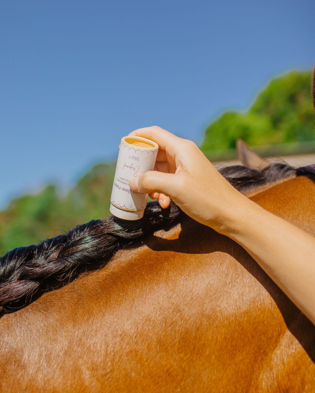 Equine Grooming