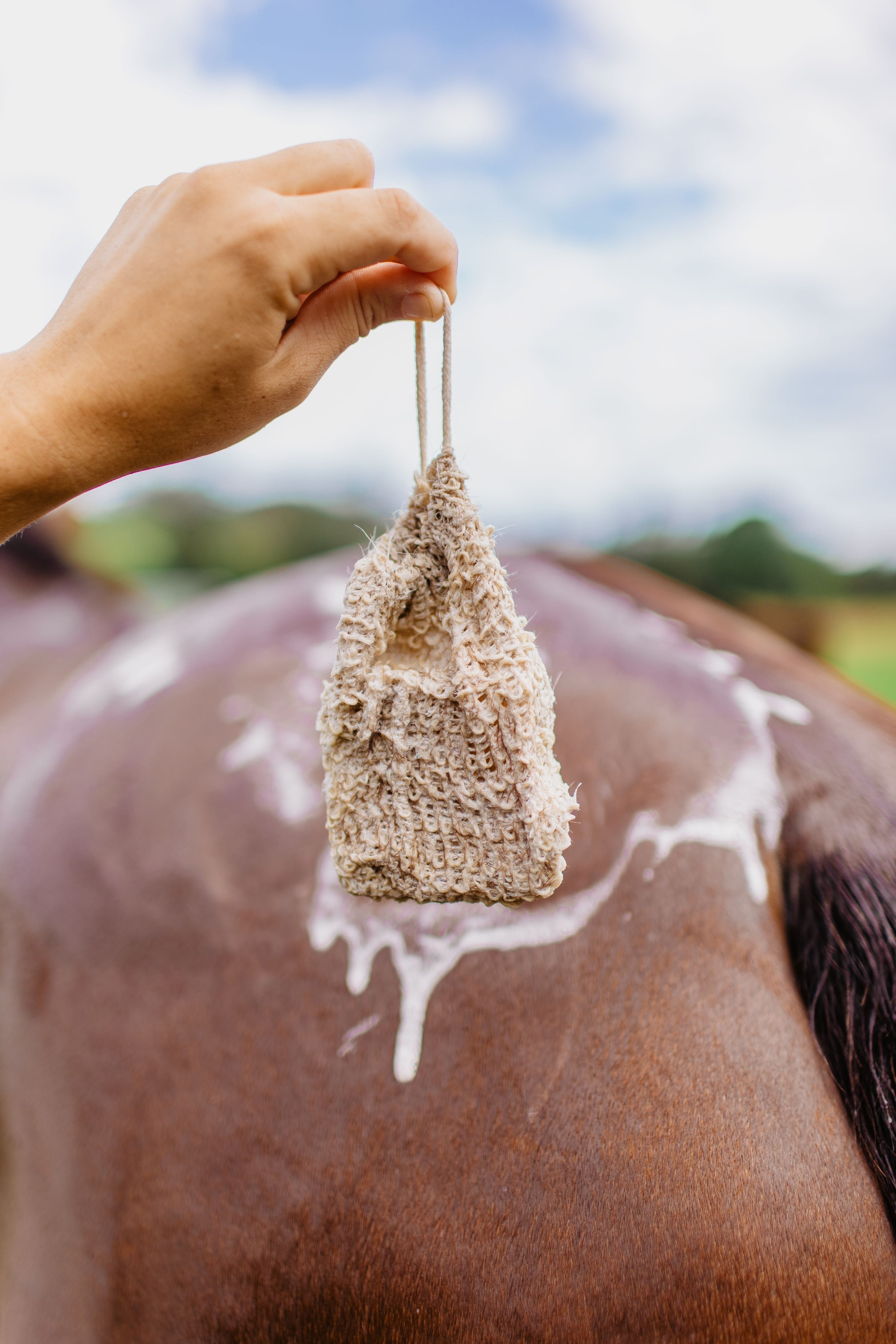 Washing & Grooming