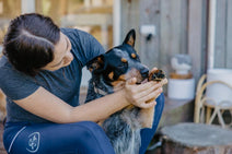 Pet Products