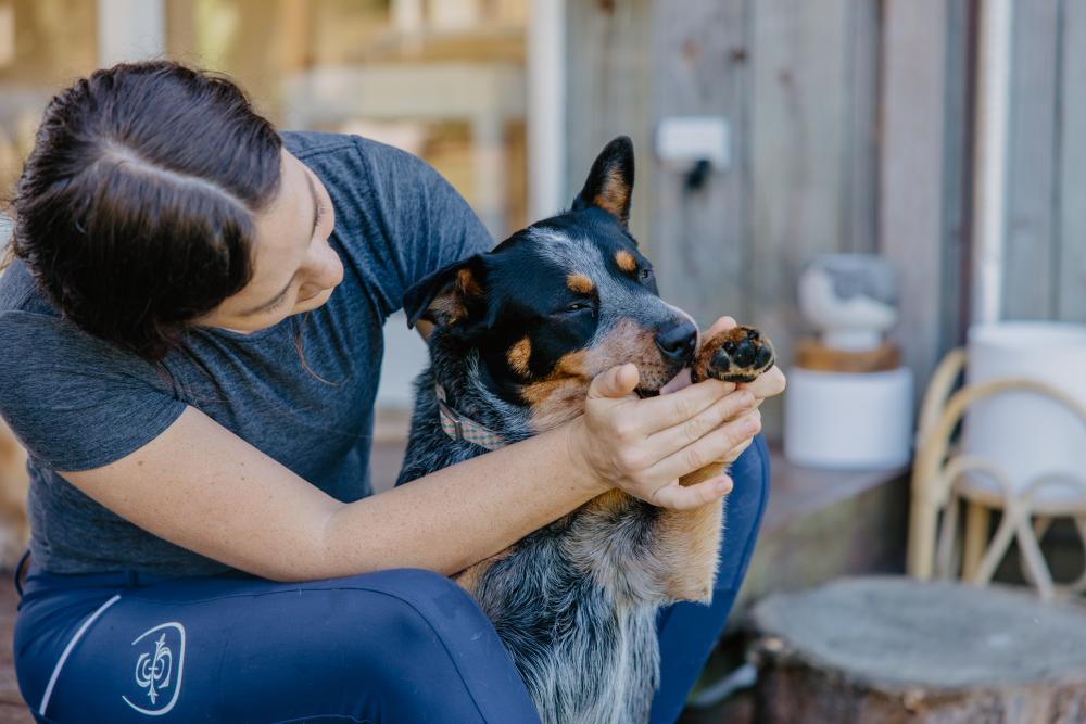 Pet Products