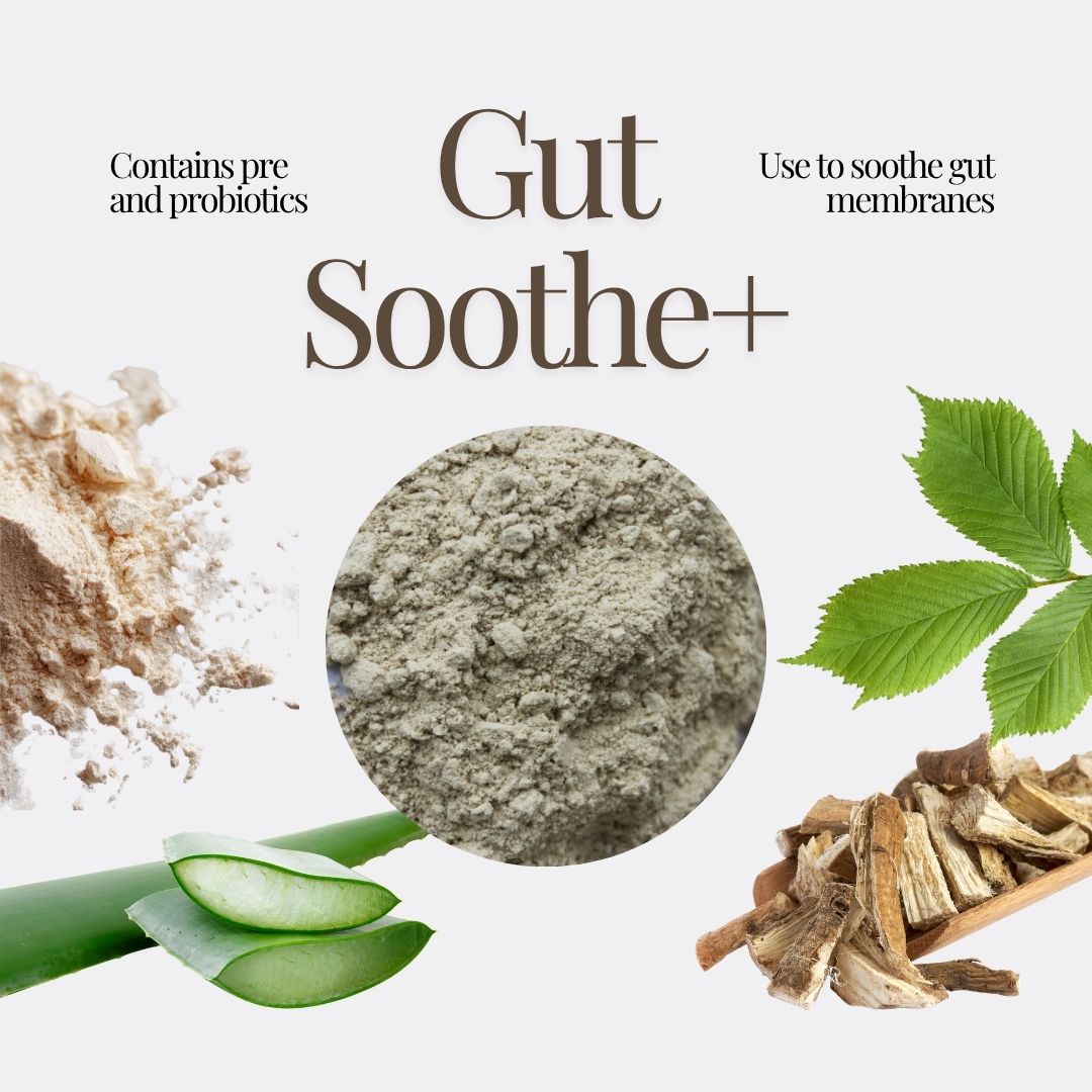 Gut Soothe+ Equine Herbal Blend