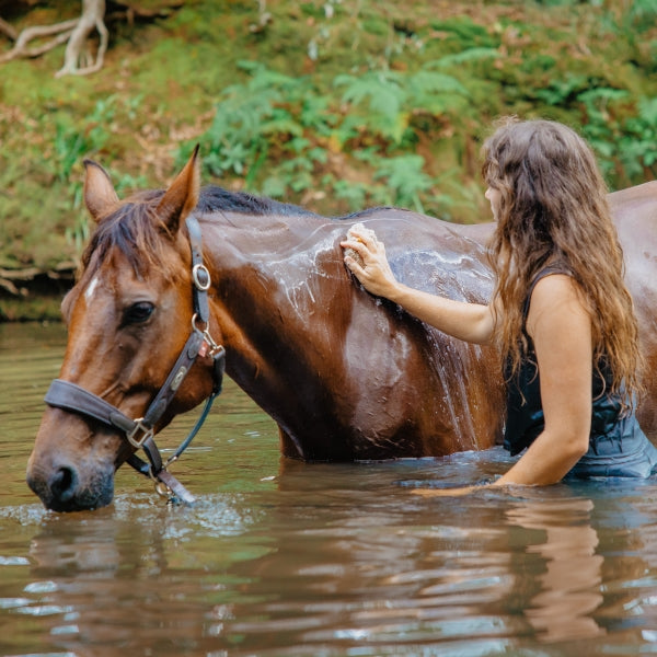Equine and Pet Shampoo Bar