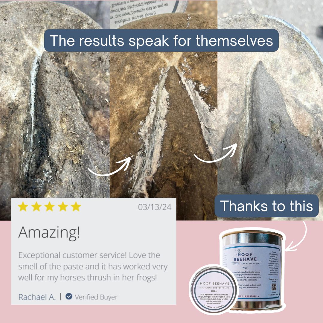 Collage of images showing before and after effects of Hoof Beehave on horse hooves, with a five-star review and product packaging.