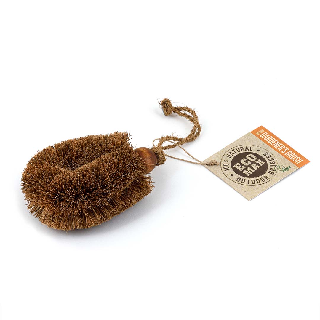 Showing coconut stiff bristle brush with twine loop for scrubbing troughs or dishes