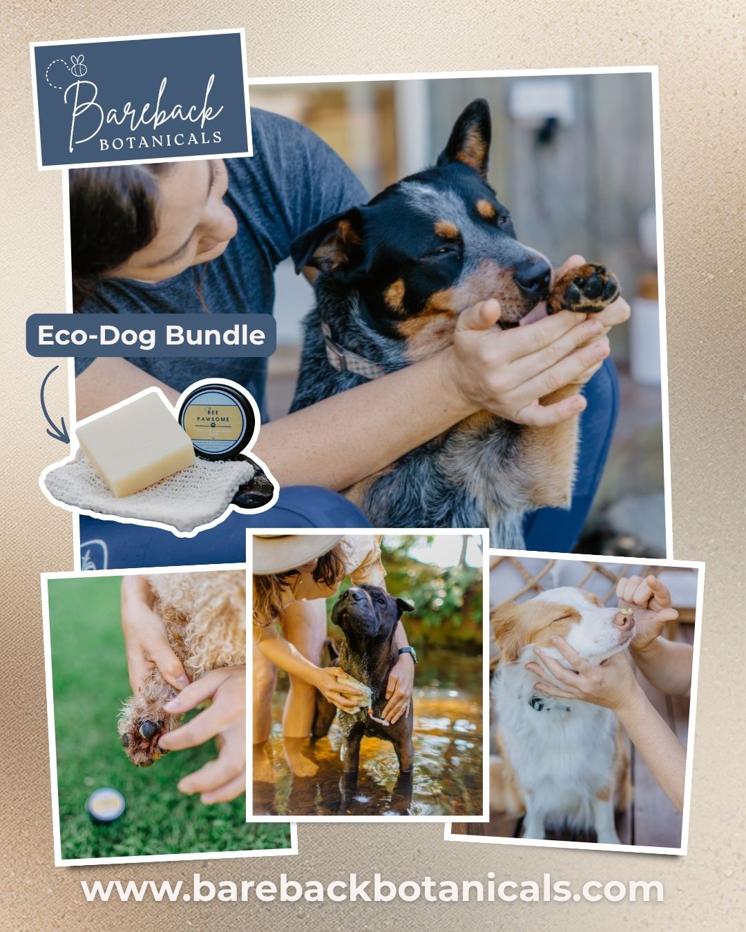 Eco Dog Bundle