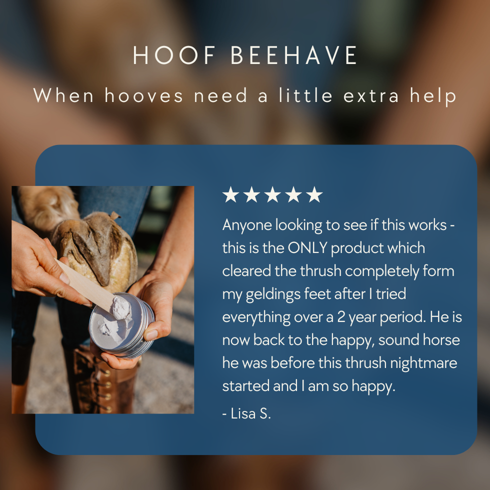 Product advertisement for Hoof Beehave with a customer review on a blue background