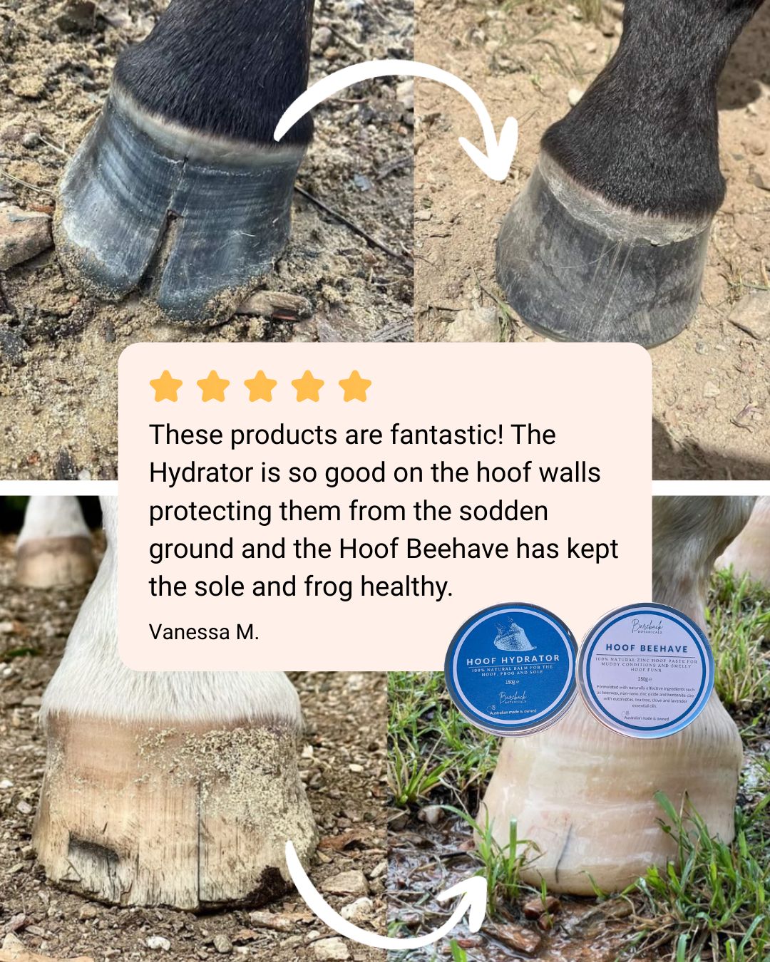 Ultimate Equine Hoof Bundle Deal