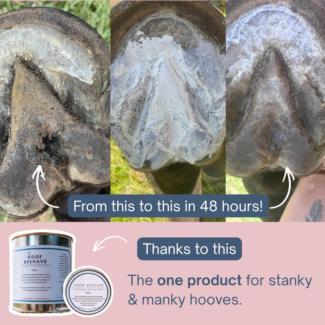 Before and after comparison of a horse's hoof with text and Hoof Beehave product image on a pink background.