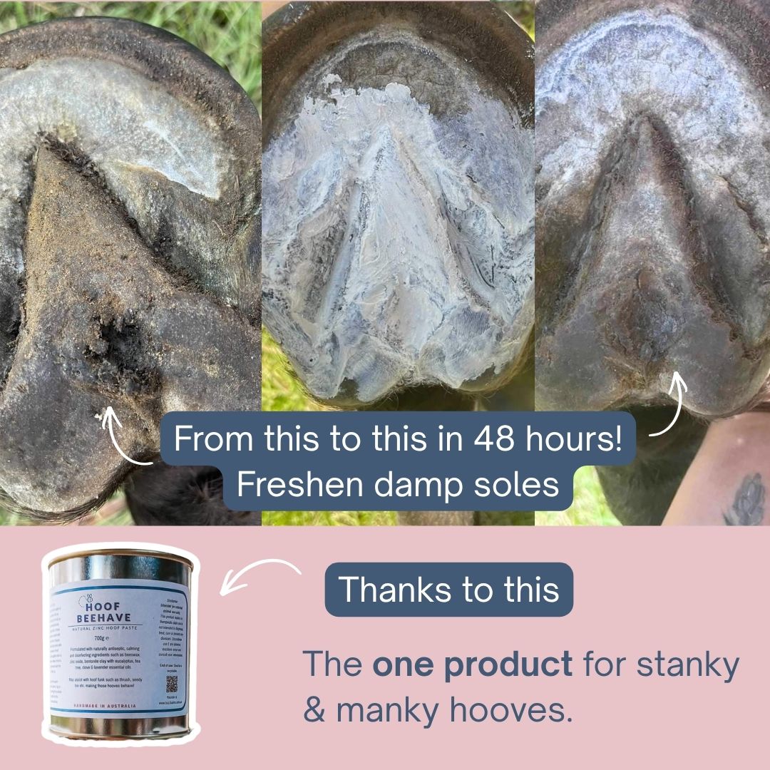 Hoof Beehave- Zinc Hoof Paste