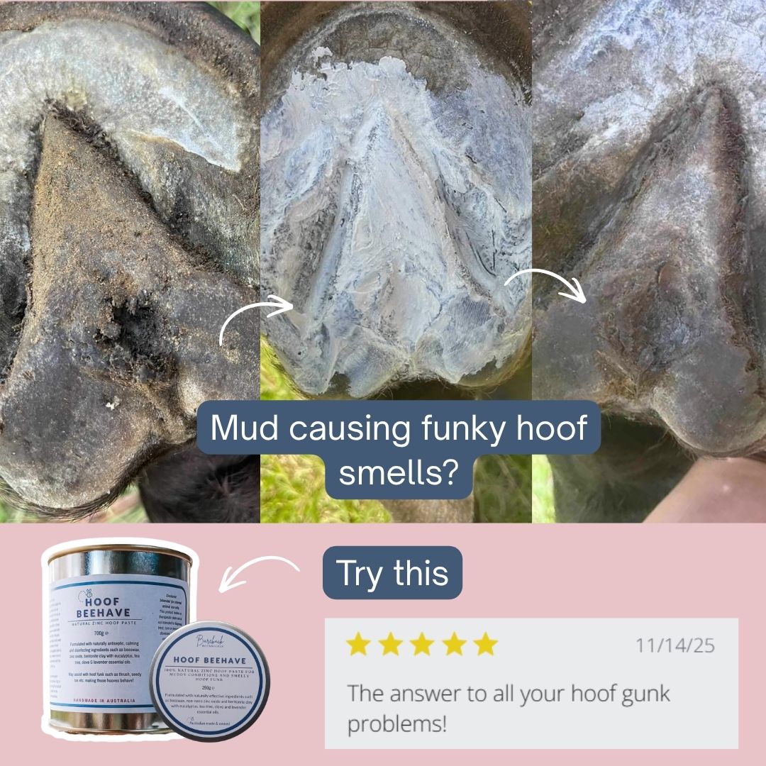 Hoof Beehave - Zinc Hoof Paste Large Size