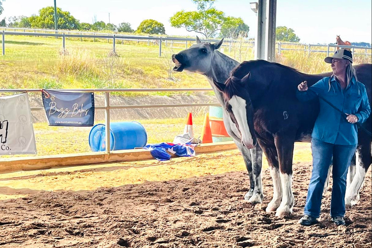 Person interacting with a horse in an outdoor equestrian setting with visible branding.