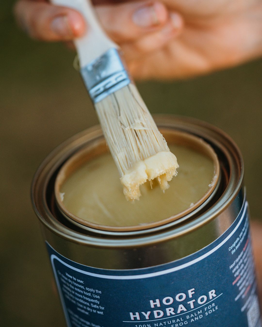 Paint Style Hoof Brush