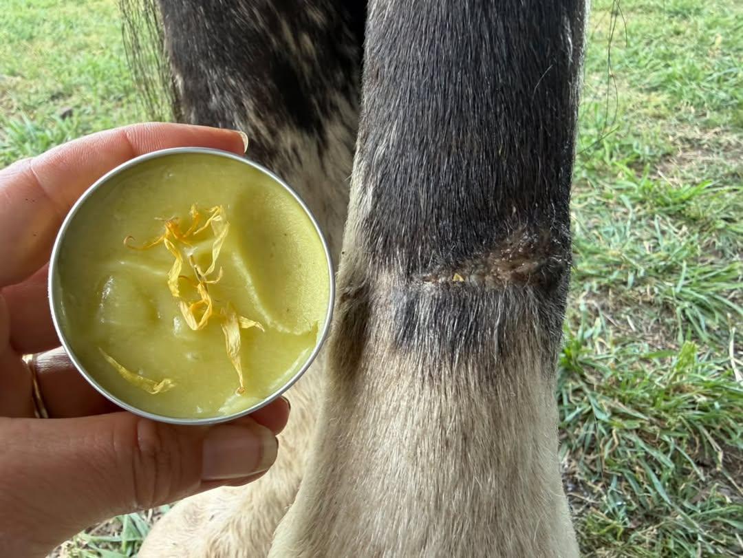 Skin Beehave - Natural Soothing Skin Balm